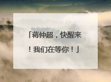 蒋仲超，快醒来！我们在等你！