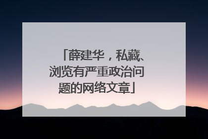 薛建华，私藏、浏览有严重政治问题的网络文章