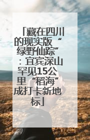 藏在四川的现实版“绿野仙踪”：宜宾深山罕见15公里“稻海”成打卡新地标