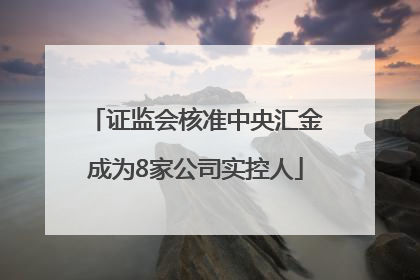 证监会核准中央汇金成为8家公司实控人