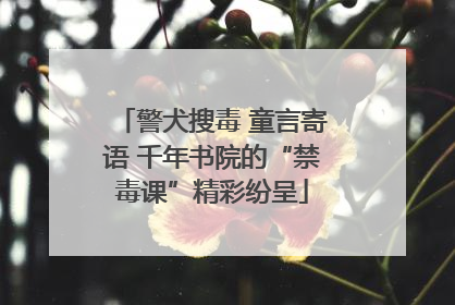 警犬搜毒 童言寄语 千年书院的“禁毒课”精彩纷呈