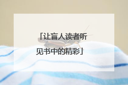 让盲人读者听见书中的精彩