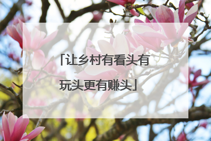 让乡村有看头有玩头更有赚头