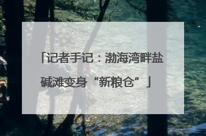 记者手记：渤海湾畔盐碱滩变身“新粮仓”
