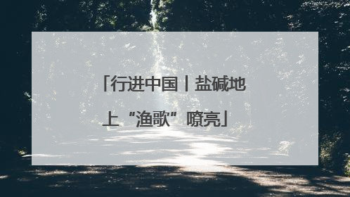 行进中国丨盐碱地上“渔歌”嘹亮