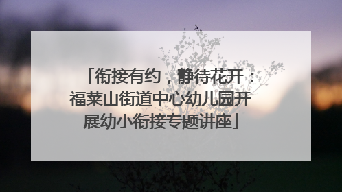 衔接有约，静待花开：福莱山街道中心幼儿园开展幼小衔接专题讲座