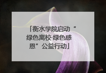 衡水学院启动“绿色离校·绿色感恩”公益行动