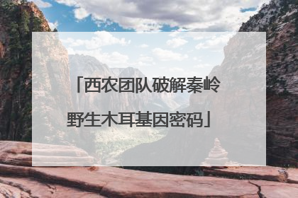 西农团队破解秦岭野生木耳基因密码