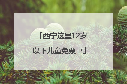 西宁这里12岁以下儿童免票→
