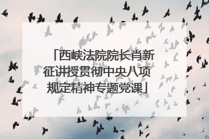 西峡法院院长肖新征讲授贯彻中央八项规定精神专题党课
