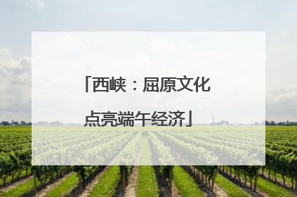西峡：屈原文化点亮端午经济