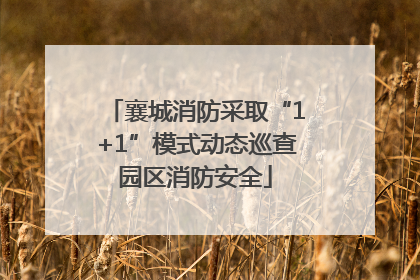 襄城消防采取“1+1”模式动态巡查园区消防安全