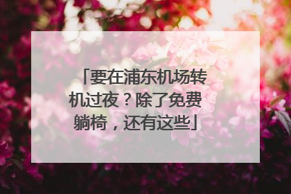 要在浦东机场转机过夜？除了免费躺椅，还有这些