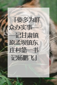 要多为群众办实事——记甘肃镇原孟坝镇东庄村第一书记杨鹏飞