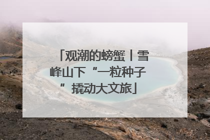 观潮的螃蟹丨雪峰山下“一粒种子”撬动大文旅