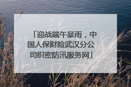 迎战端午暴雨，中国人保财险武汉分公司织密防汛服务网