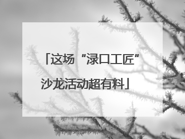 这场“渌口工匠”沙龙活动超有料
