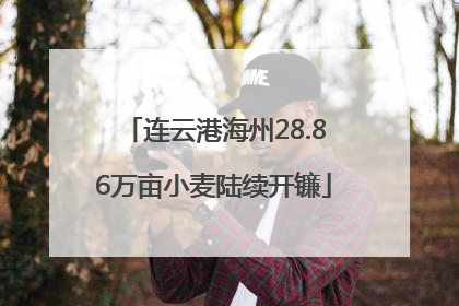 连云港海州28.86万亩小麦陆续开镰