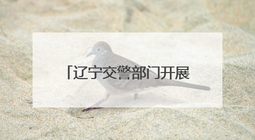 辽宁交警部门开展“安全生产月”系列主题宣传活动