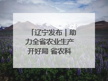 辽宁发布｜助力全省农业生产开好局 省农科院科技服务春耕备耕成效显著