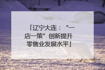 辽宁大连：“一店一策”创新提升零售业发展水平