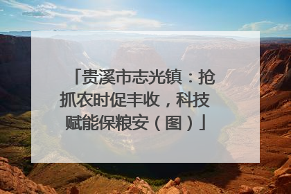 贵溪市志光镇：抢抓农时促丰收，科技赋能保粮安（图）