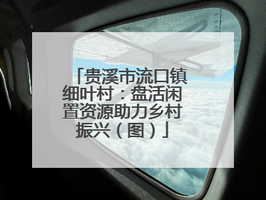贵溪市流口镇细叶村：盘活闲置资源助力乡村振兴（图）