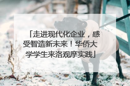 走进现代化企业，感受智造新未来！华侨大学学生来洛观摩实践