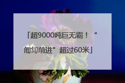 超9000吨巨无霸！“匍匐前进”超过60米