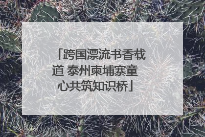 跨国漂流书香载道 泰州柬埔寨童心共筑知识桥