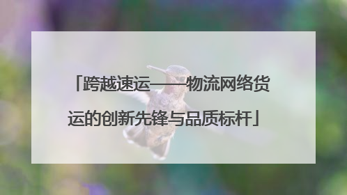 跨越速运——物流网络货运的创新先锋与品质标杆
