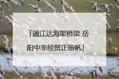 通江达海架桥梁 岳阳中非经贸正扬帆