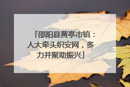 邵阳县黄亭市镇：人大牵头织安网，多力并聚助振兴