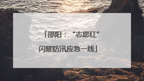 邵阳：“志愿红”闪耀防汛应急一线