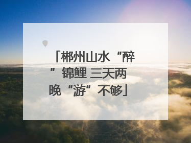 郴州山水“醉”锦鲤 三天两晚“游”不够