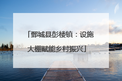 鄄城县彭楼镇：设施大棚赋能乡村振兴