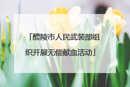 醴陵市人民武装部组织开展无偿献血活动