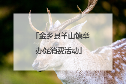 金乡县羊山镇举办促消费活动