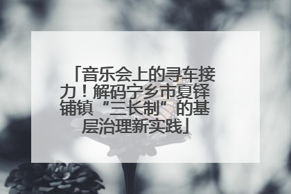 音乐会上的寻车接力！解码宁乡市夏铎铺镇“三长制”的基层治理新实践