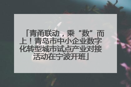 青甬联动，乘“数”而上！青岛市中小企业数字化转型城市试点产业对接活动在宁波开班