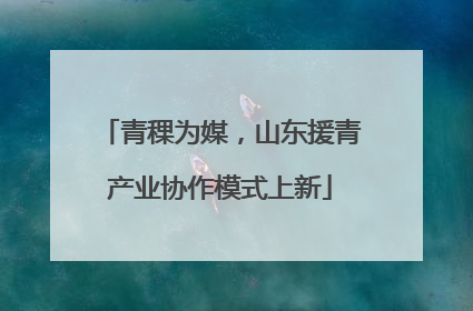 青稞为媒，山东援青产业协作模式上新