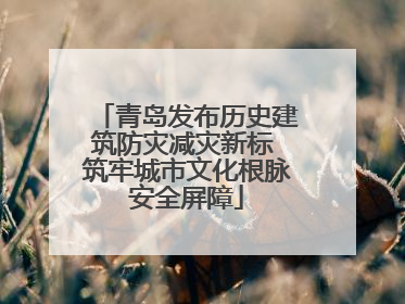 青岛发布历史建筑防灾减灾新标 筑牢城市文化根脉安全屏障