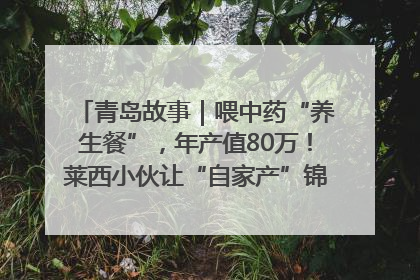 青岛故事｜喂中药“养生餐”，年产值80万！莱西小伙让“自家产”锦鲤“游”向全国