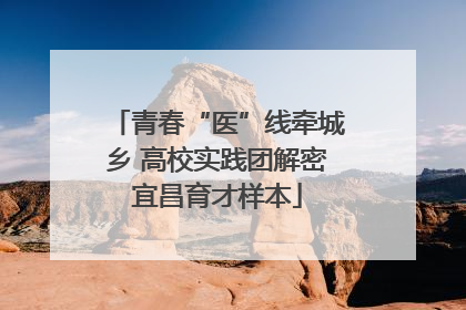 青春“医”线牵城乡 高校实践团解密宜昌育才样本