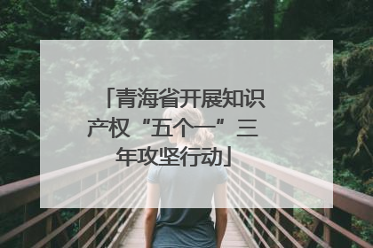 青海省开展知识产权“五个一”三年攻坚行动