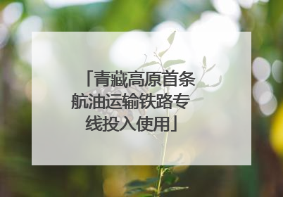青藏高原首条航油运输铁路专线投入使用