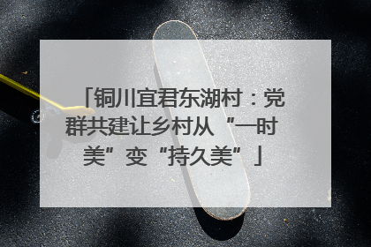 铜川宜君东湖村：党群共建让乡村从“一时美”变“持久美”