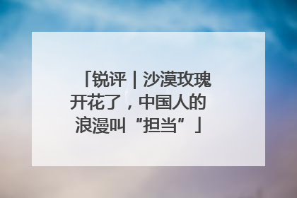 锐评｜沙漠玫瑰开花了，中国人的浪漫叫“担当”