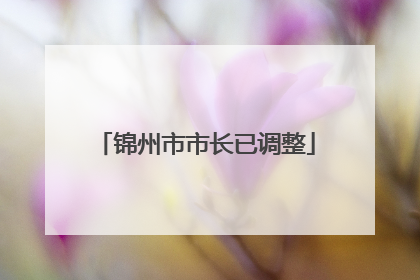 锦州市市长已调整