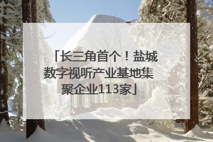 长三角首个！盐城数字视听产业基地集聚企业113家